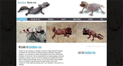 Desktop Screenshot of geckobabies.com