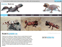 Tablet Screenshot of geckobabies.com
